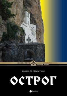 Pomilovanje u teoriji i praksi