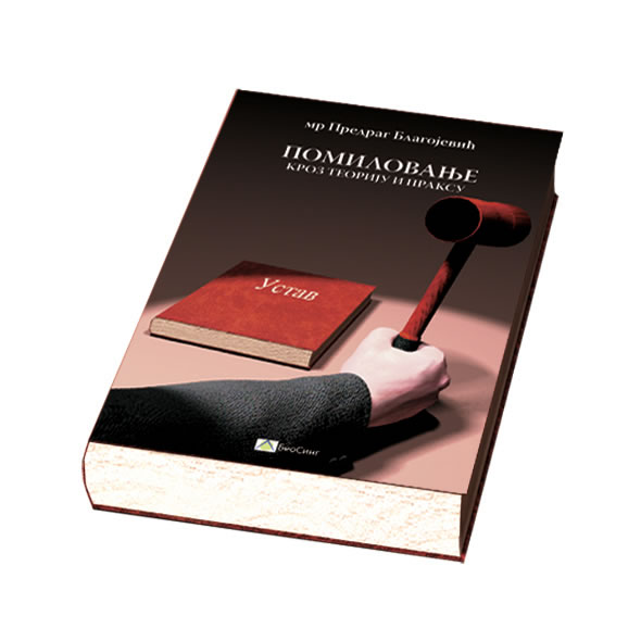 Pomilovanje u teoriji i praksi