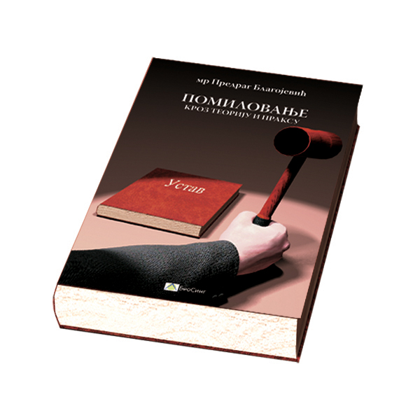 Pomilovanje u teoriji i praksi